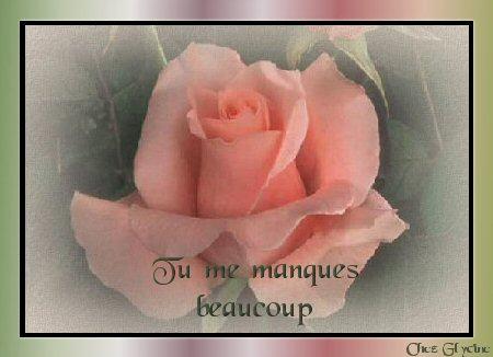 tu me manques